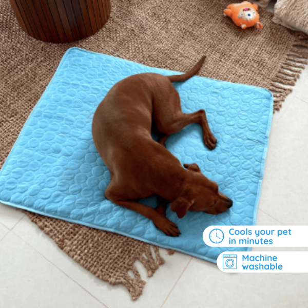 Cooling Mat for Dogs - Image 3