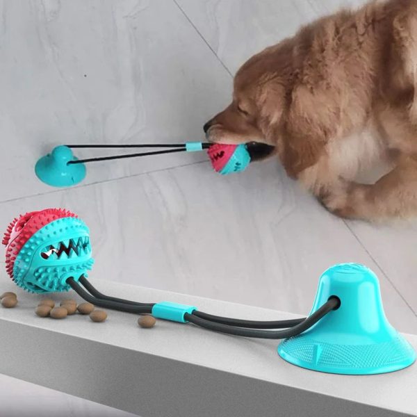 Suction Cup Dog Toys - Image 8