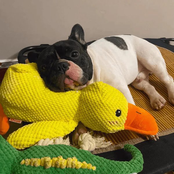 Calming Duck Dog Toy - Image 7