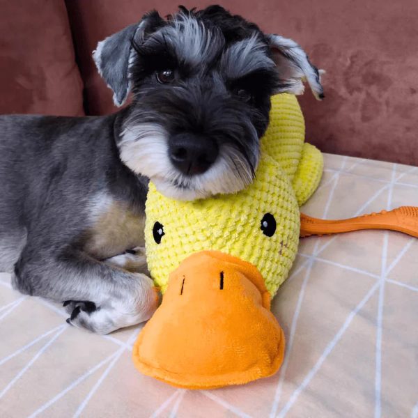 Calming Duck Dog Toy - Image 8