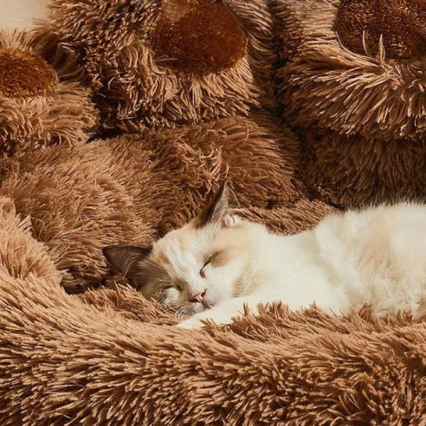 Calming Bear Paw Bed for Pets - Image 11