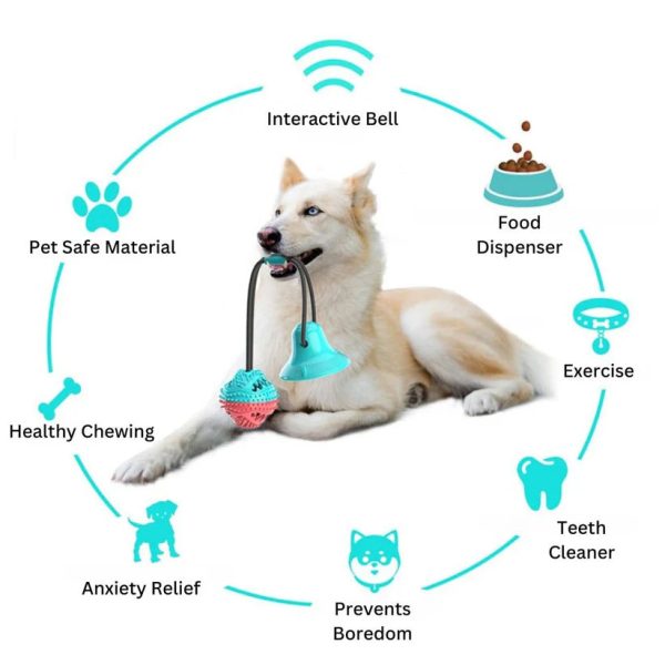 Suction Cup Dog Toys - Image 4