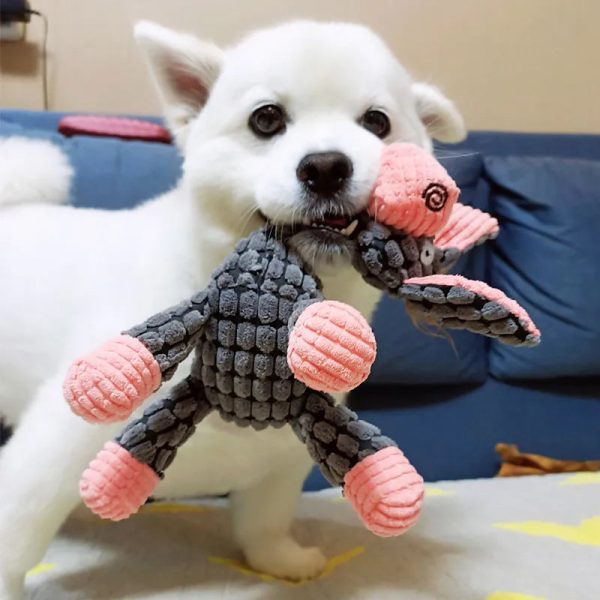 Robust Plush - Immortal Squeaker Plush Toy For Aggressive Chewers (Small and Medium Dogs) - Image 4