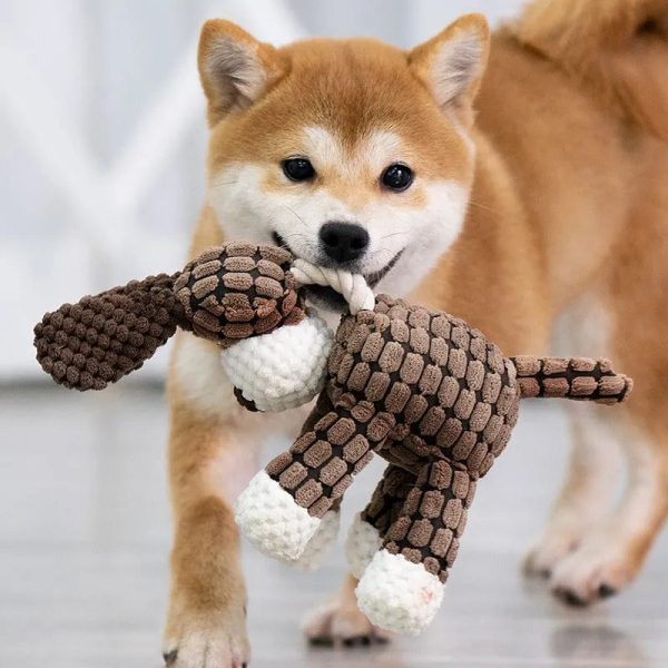 Robust Plush - Immortal Squeaker Plush Toy For Aggressive Chewers (Small and Medium Dogs) - Image 6