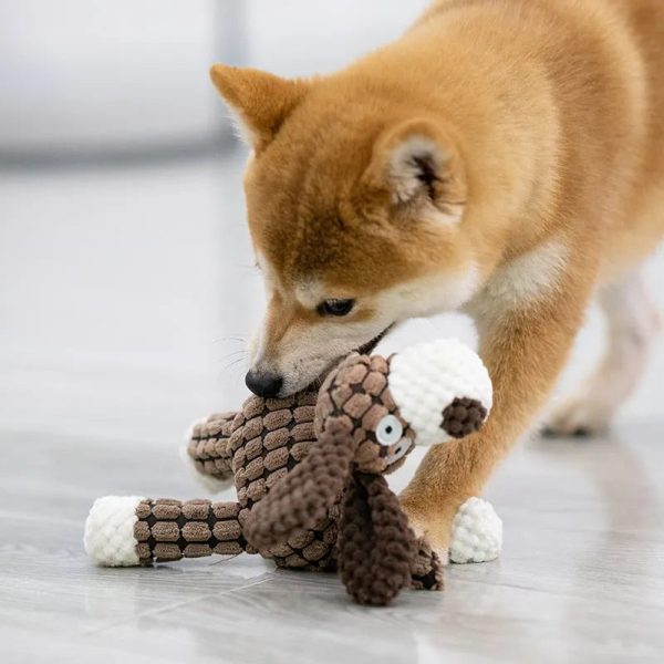 Robust Plush - Immortal Squeaker Plush Toy For Aggressive Chewers (Small and Medium Dogs) - Image 7