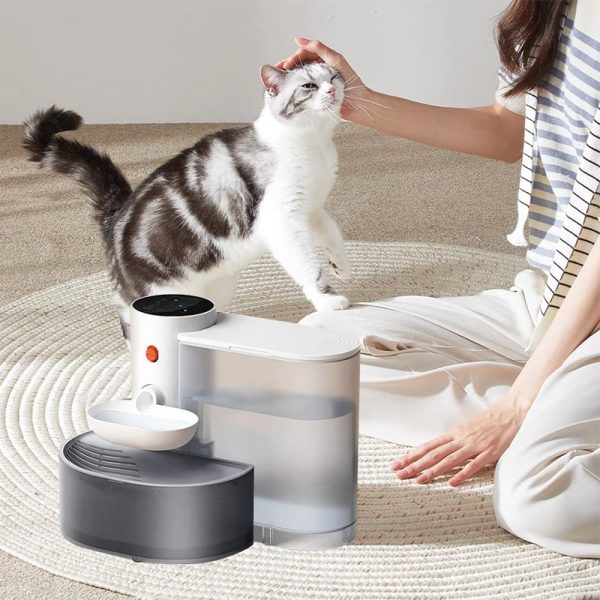Smart Filter Free Pet Water Fountain - Image 3