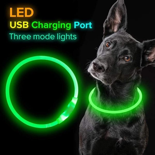 Light Up Dog Collars - Image 2