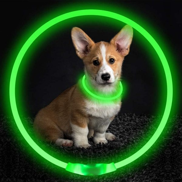 Light Up Dog Collars - Image 4
