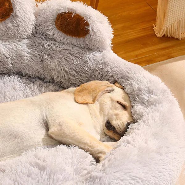 Calming Bear Paw Bed for Pets - Image 4