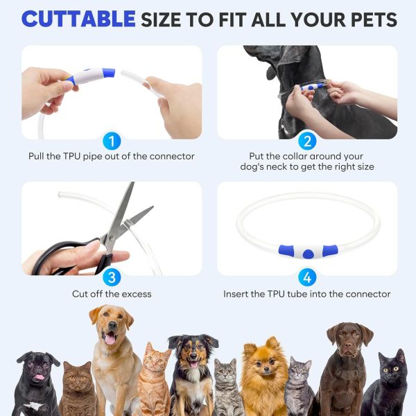 Light Up Dog Collars - Image 10