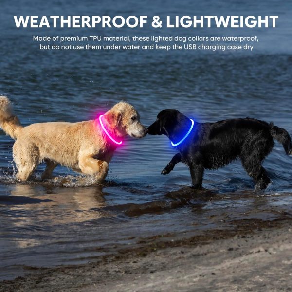 Light Up Dog Collars - Image 11