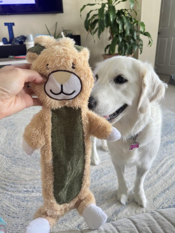 2 Pack No Stuffing Crinkle Dog Toys - Image 7