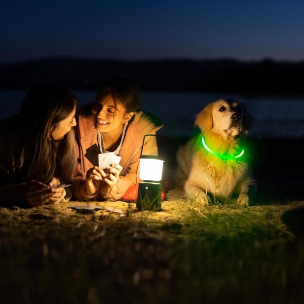 Light Up Dog Collars - Image 13