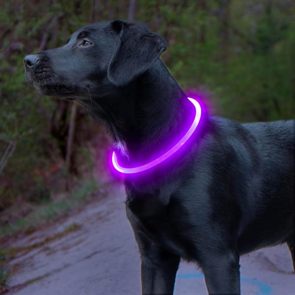 Light Up Dog Collars - Image 14