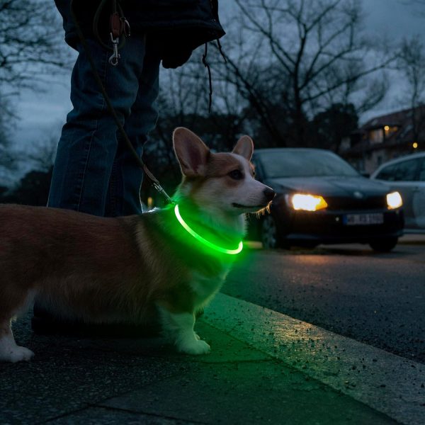 Light Up Dog Collars - Image 5