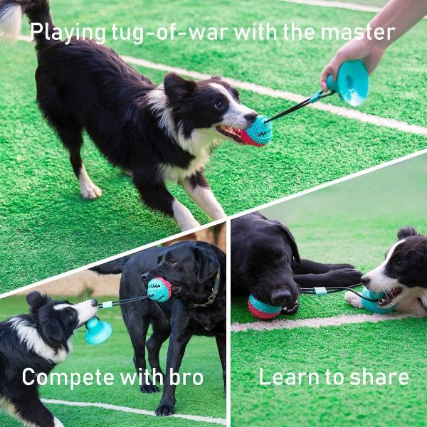 Suction Cup Dog Toys - Image 3