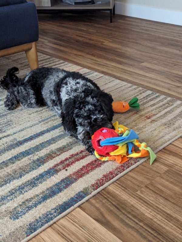 Interactive Dog Treat Game - Image 12