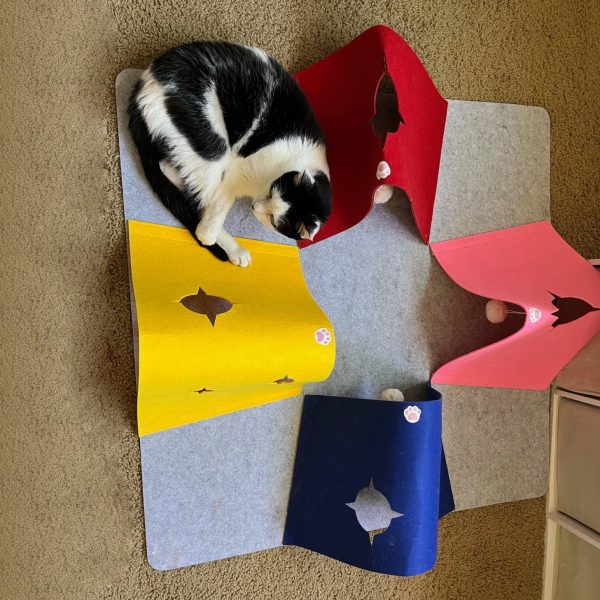 Cat Activity Play Mat - Image 9