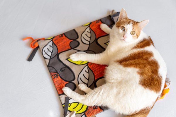 Purrfect Playtime Mat - Image 2