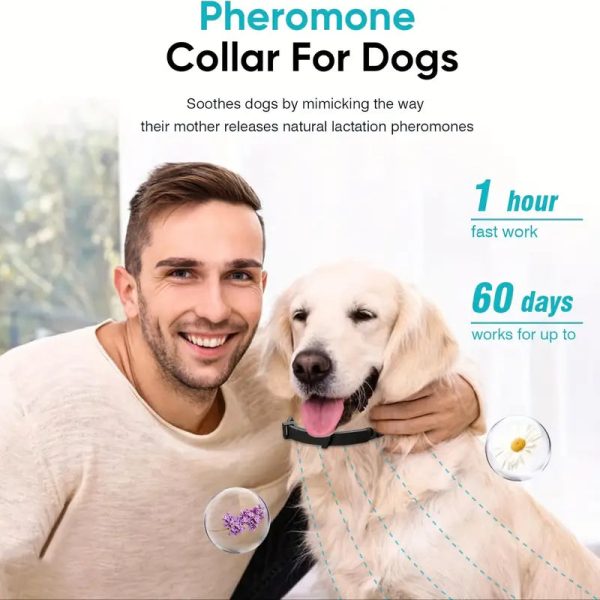Calming Collars for dogs - Adjustable and Waterproof Dog Anxiety Relief Collars - Image 3