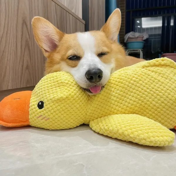Calming Duck Dog Toy - Image 3