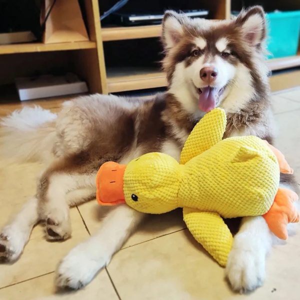 Calming Duck Dog Toy - Image 5