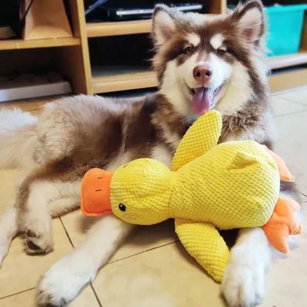 Calming Duck Dog Toy - Image 4