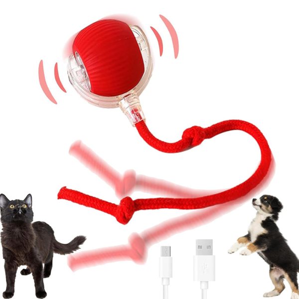 2024 New - Interactive Rolling Ball for Cat & Dog - Image 2