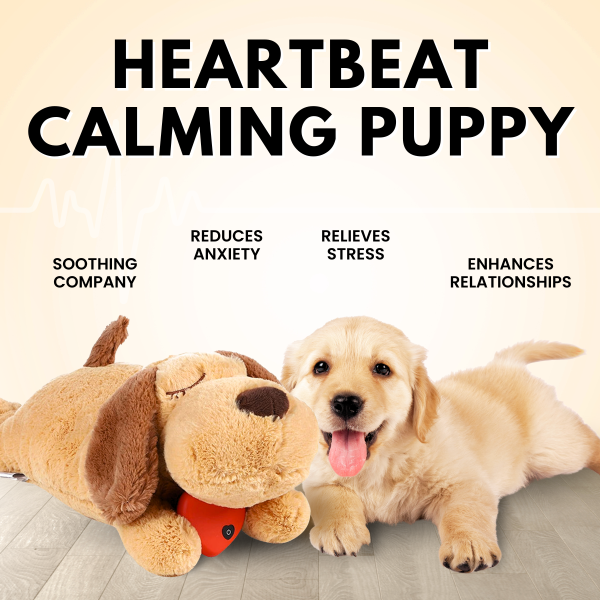 The Calming Heartbeat Puppy Toys for Dog - Image 3