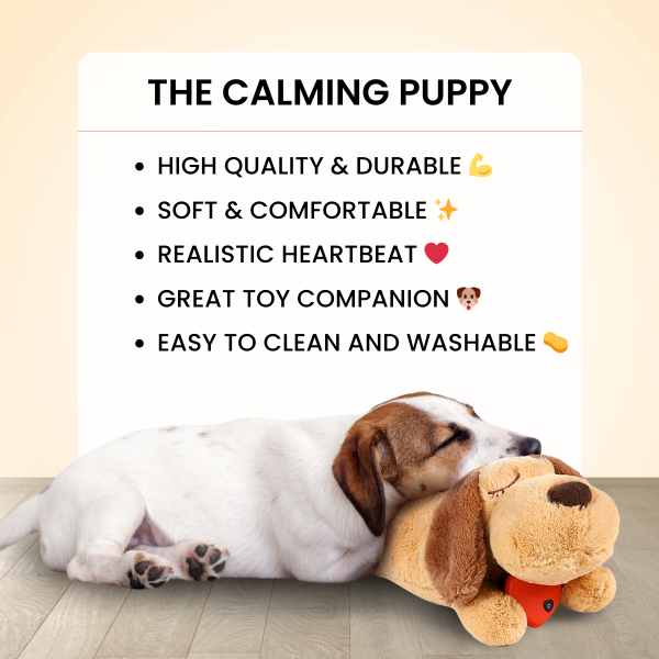 The Calming Heartbeat Puppy Toys for Dog - Image 5