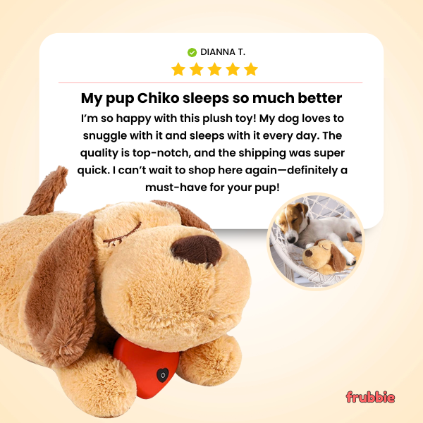 The Calming Heartbeat Puppy Toys for Dog - Image 8