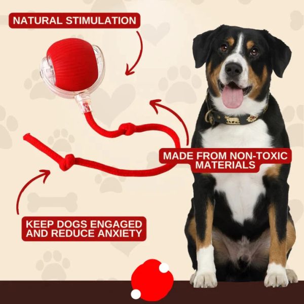 2024 New - Interactive Rolling Ball for Cat & Dog - Image 3