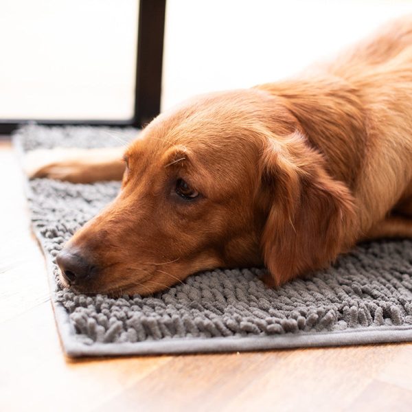 Absorbent Dog DoorMat - Image 3