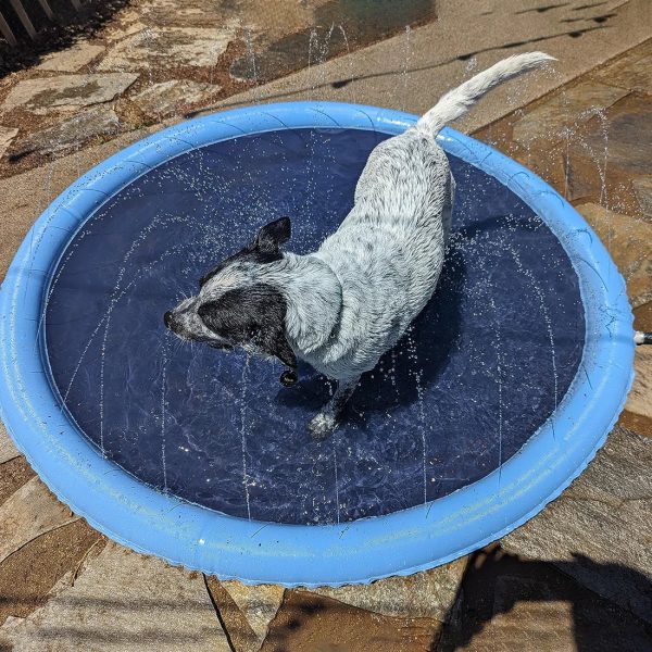 Dog Pool Splash Pad, Anti-Slip Sprinkler Pad for Kids & Dogs - Image 14