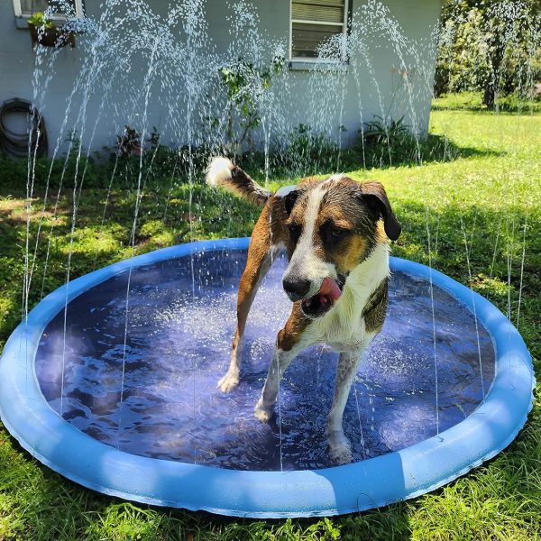 Dog Pool Splash Pad, Anti-Slip Sprinkler Pad for Kids & Dogs - Image 2
