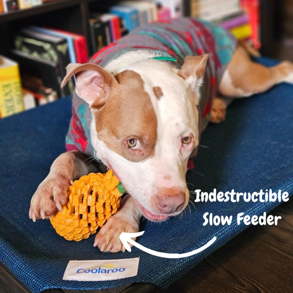 Pineapple Dog Chew Toys With Treat Fill for Aggressive Chewer - Image 8