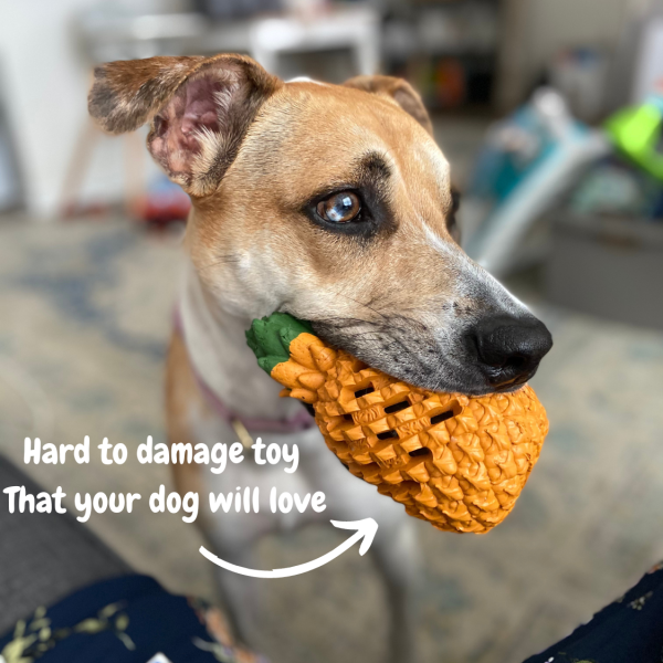Pineapple Dog Chew Toys With Treat Fill for Aggressive Chewer - Image 7