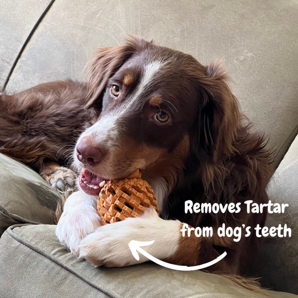 Pineapple Dog Chew Toys With Treat Fill for Aggressive Chewer - Image 10