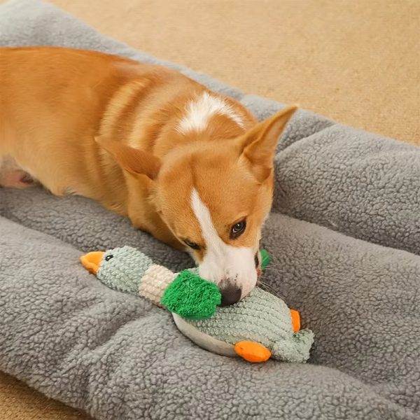 Extreme Goose For Heavy Chewers (Small Medium Breed) - Image 12