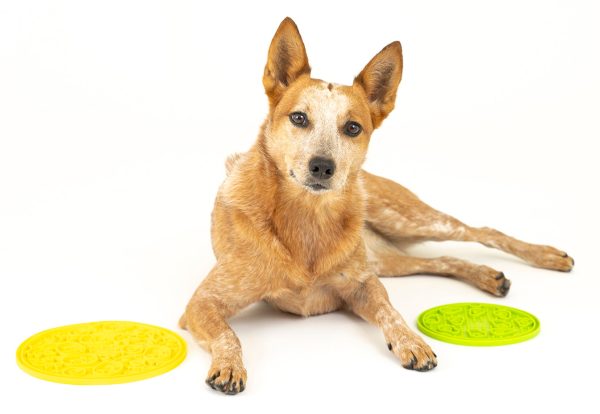ZoomieRex EverLick Mat - Image 10