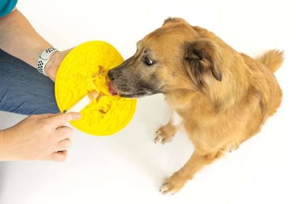 ZoomieRex EverLick Mat - Image 8