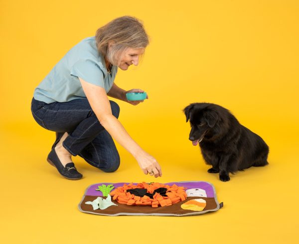 Halloween Snuffle Mat - Image 4