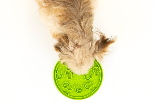 ZoomieRex EverLick Mat - Image 5
