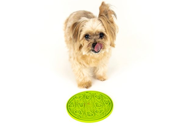 ZoomieRex EverLick Mat - Image 4