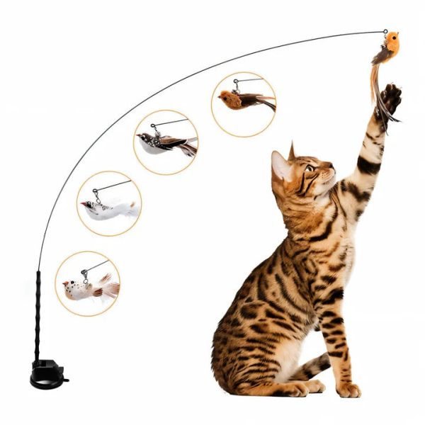 Interactive Bird Simulation Cat Toy Set - Image 4
