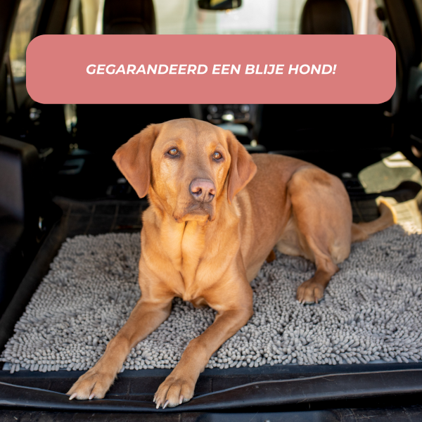 Absorbent Dog DoorMat - Image 4