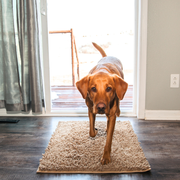 Absorbent Dog DoorMat - Image 16