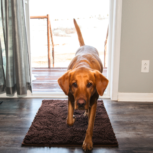 Absorbent Dog DoorMat - Image 14