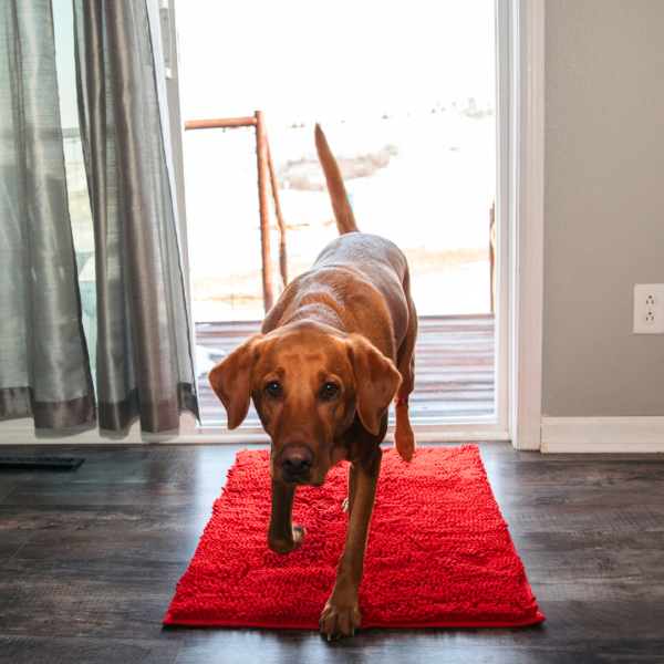 Absorbent Dog DoorMat - Image 18