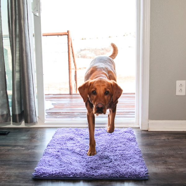 Absorbent Dog DoorMat - Image 17